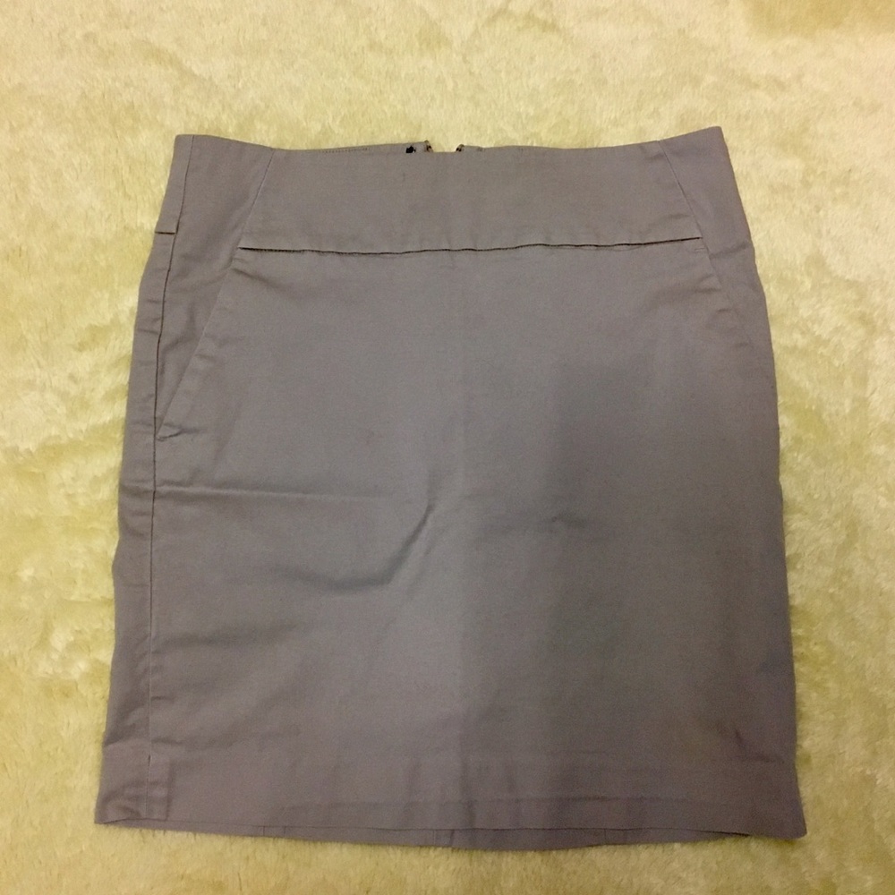 Ann Taylor Nude Skirt